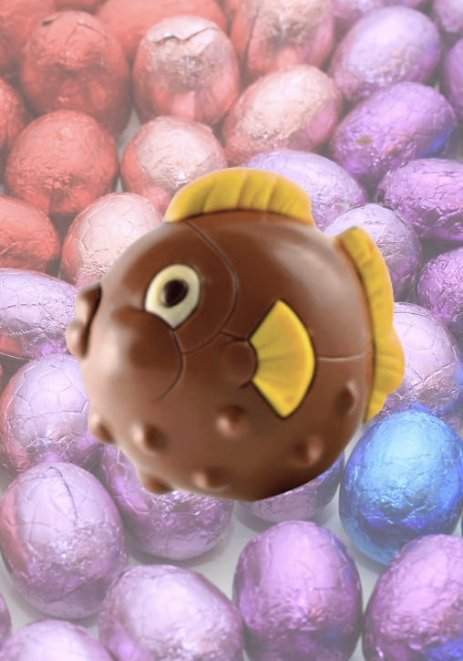 Poisson bubulle - 80 Gr