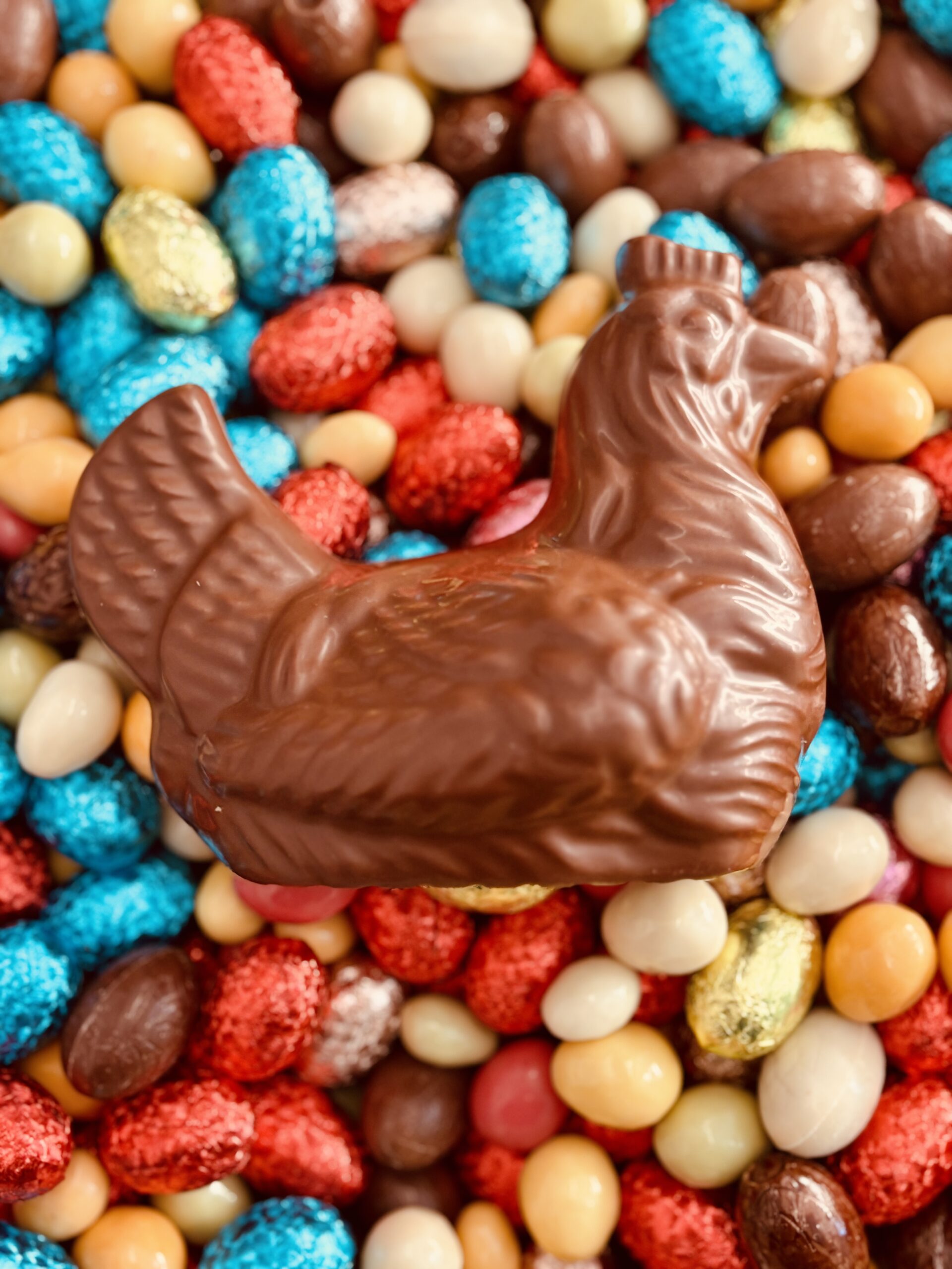 Rosette la petite poule - Chocolat lait ou noir - moulage garni - 85mm