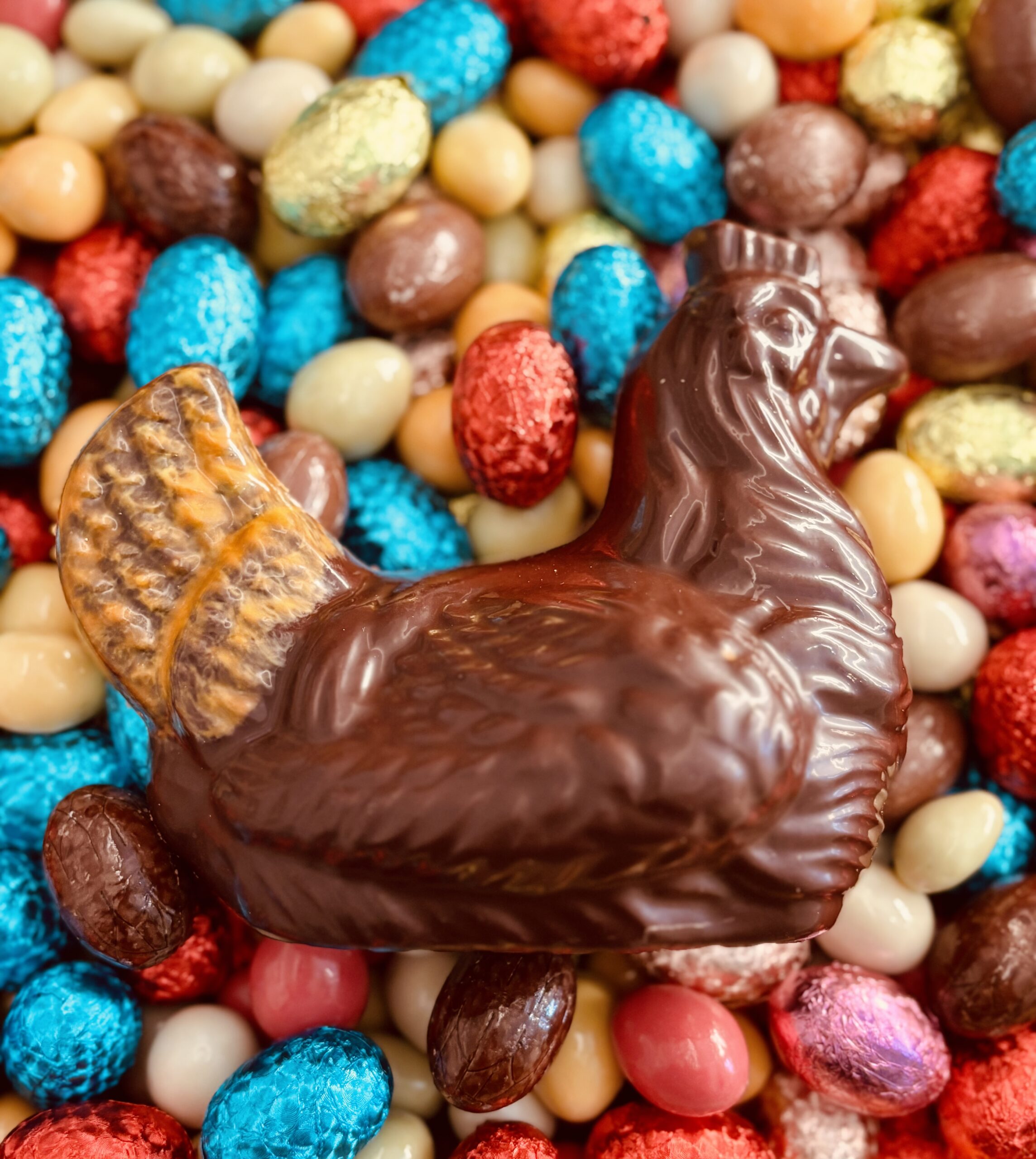 Rosette la petite poule - Chocolat lait ou noir - moulage garni - 85mm – Image 2