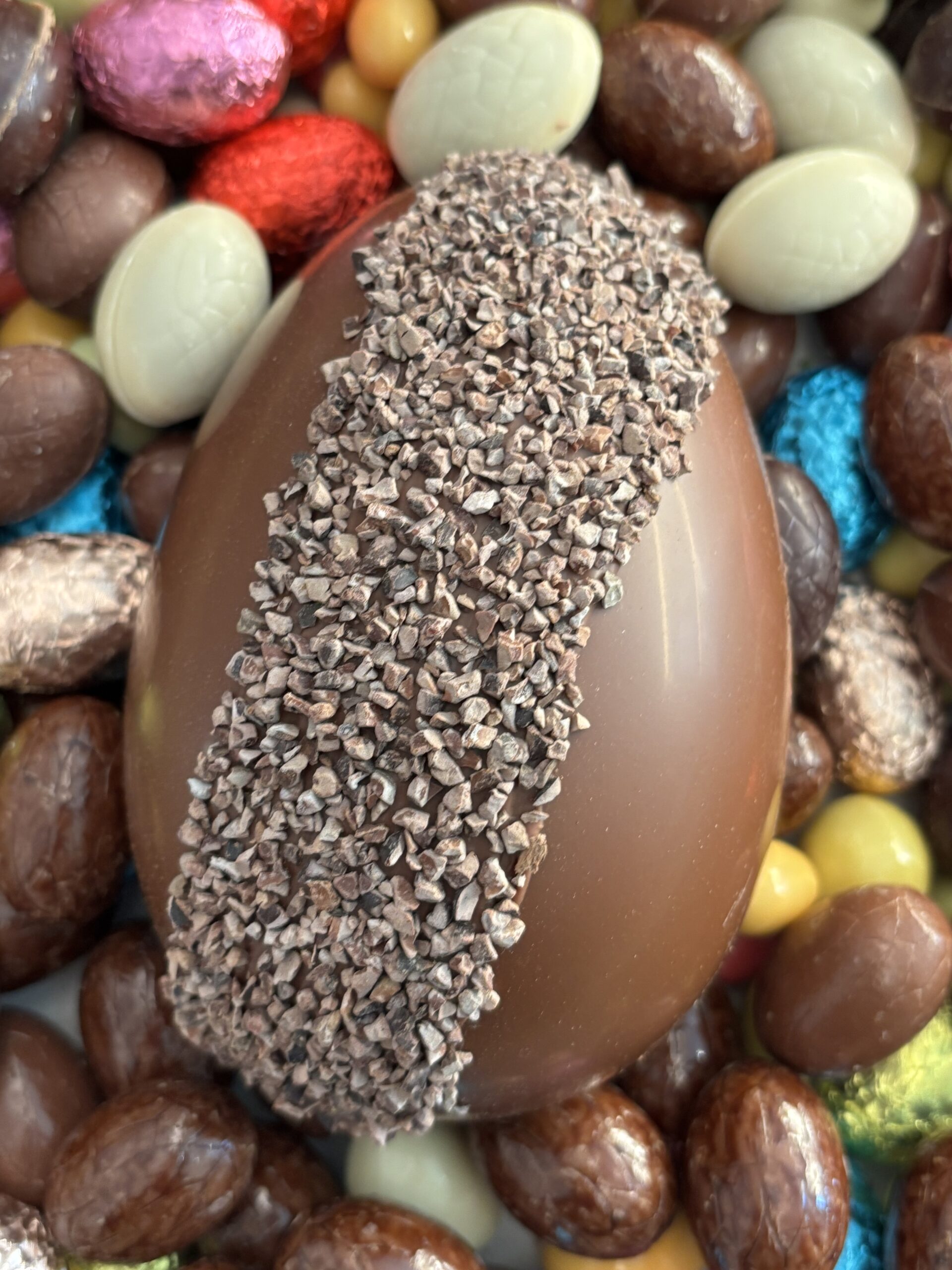 Maurice l'Oeuf décor bandeau - Chocolat lait ou noir - moulage garni - 230gr – Image 2