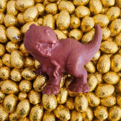 Médaillon Dinosaure et ses oeufs - Chocolat noir ou lait