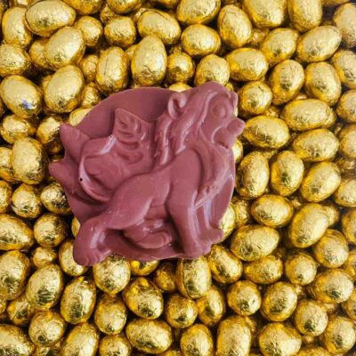 Médaillon Roi lion - Chocolat noir ou lait