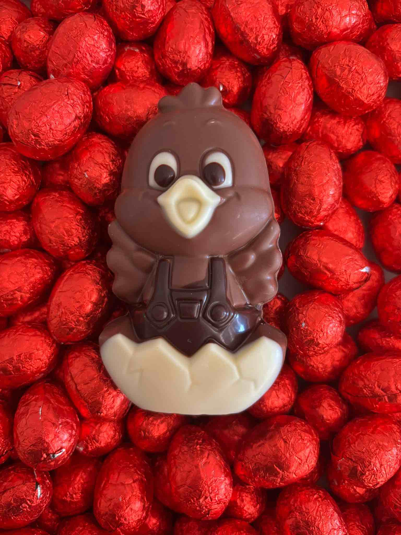 Poussinou et ses cloches (praliné) - 100 Gr