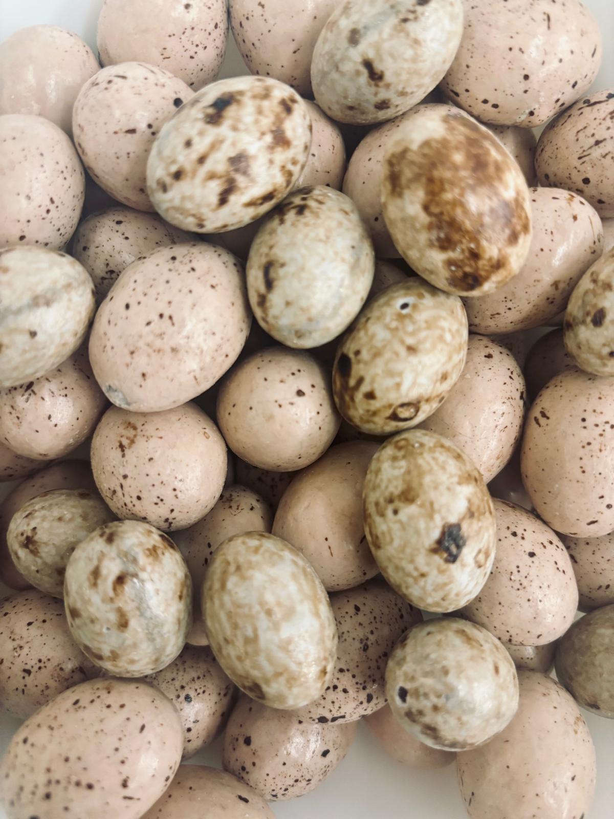 Assortiment d'oeufs mouette fourrés au praliné, caramel & Gianduja